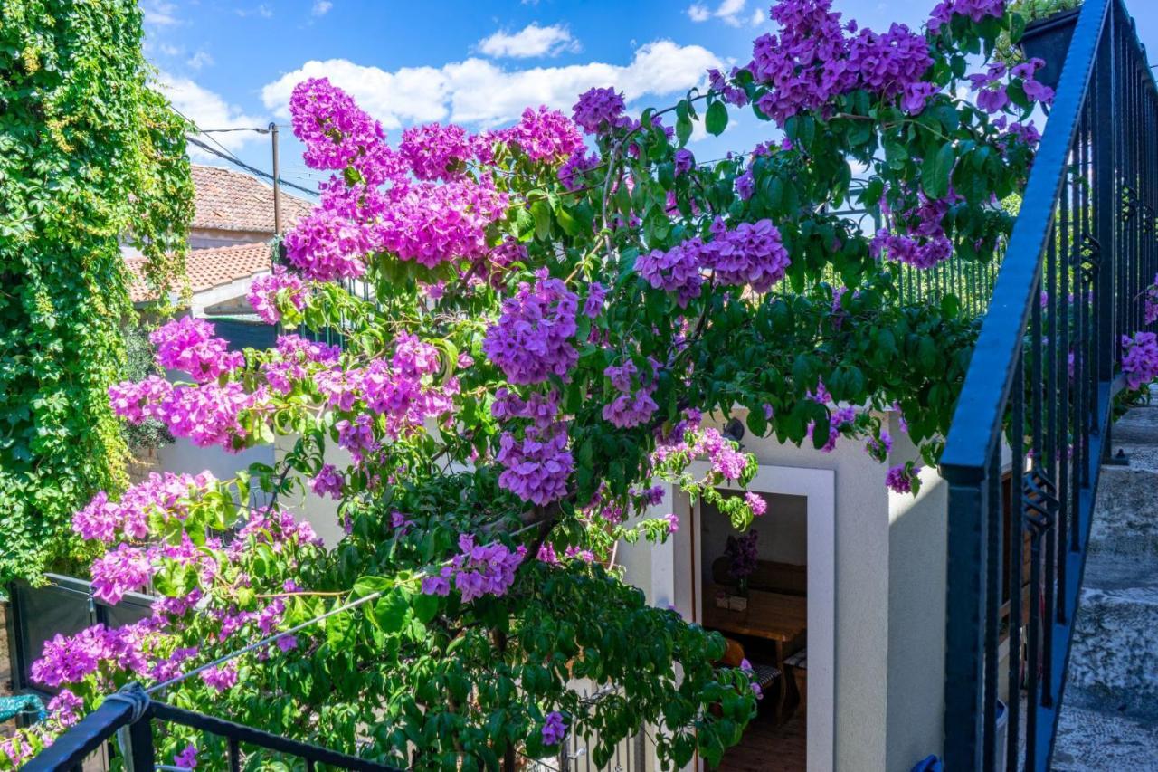 Stone House Marino Villa Trogir Bagian luar foto